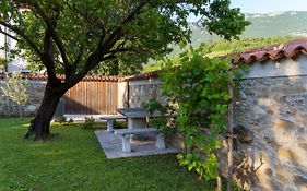 Guest House Zerjal